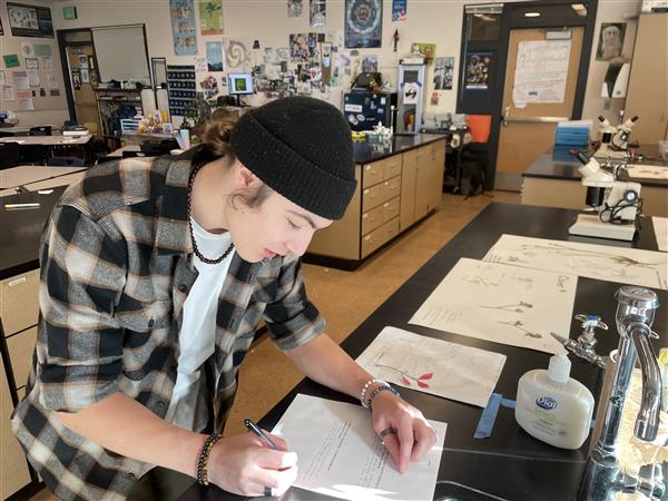 Student identifies a plant